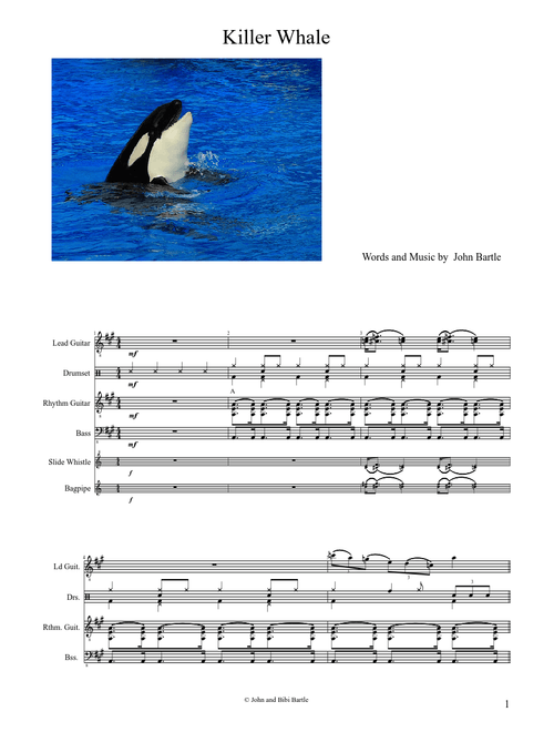 Killer Whale