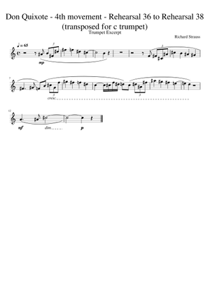 楽譜 Don Quixote Rhapsody 金管10重奏+打楽器 楽譜 Don Quixote