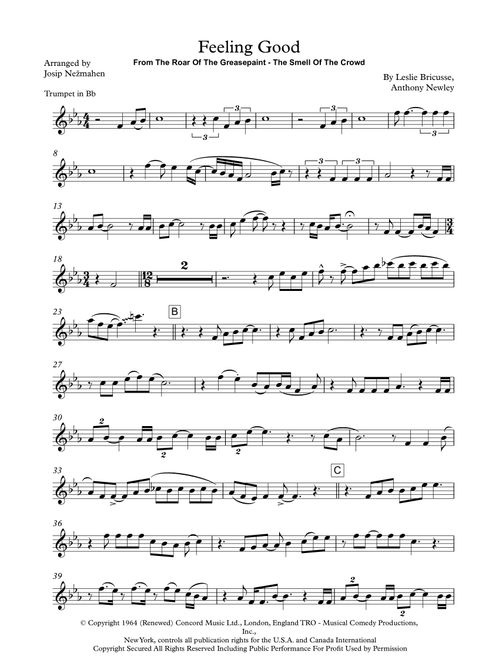Feeling Good (Arr. Josip Nežmahen) - Michael Buble (Trumpet Solo)