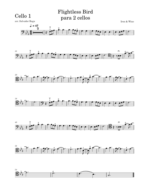 Flightless bird american mouth - Iron & Wine