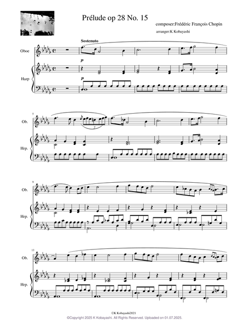 Preludes, Op.28 No.15 Raindrop– Frédéric Chopin