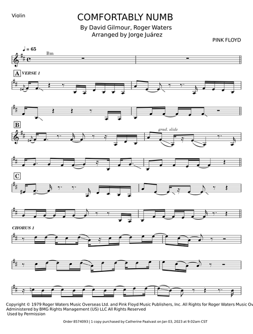 Comfortably numb - David Gilmour