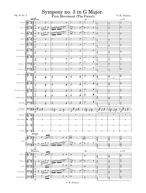 Sympony no. 3 in G Major (First Movement) - G. K. Nielsen.
