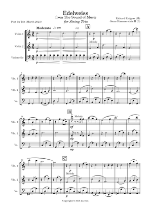 The Sound of Music Medley Sheet Music for Contrabass, Violin