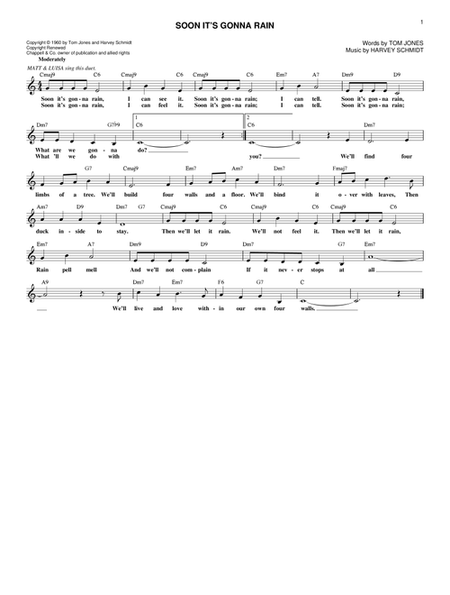 Soon It's Gonna Rain (from The Fantasticks) - Harvey Schmidt (Lead Sheet - Fake Book)