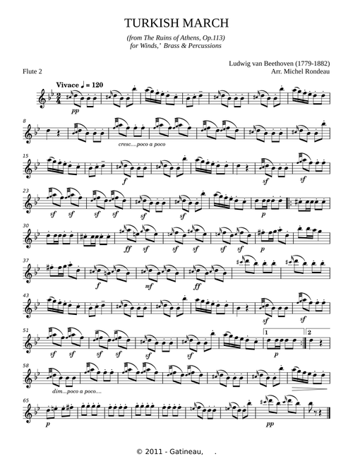 Turkish march - Ludwig van Beethoven