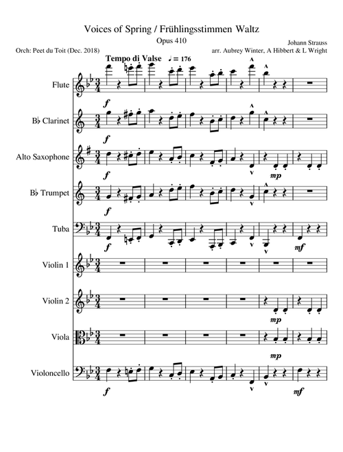 Voices of Spring / Frühlingsstimmen Waltz, Op. 410 - J Strauss Jr. (Mixed Ensemble) (Arr. Peet du Toit) - Johann Strauss Jr. (Large Ensemble)