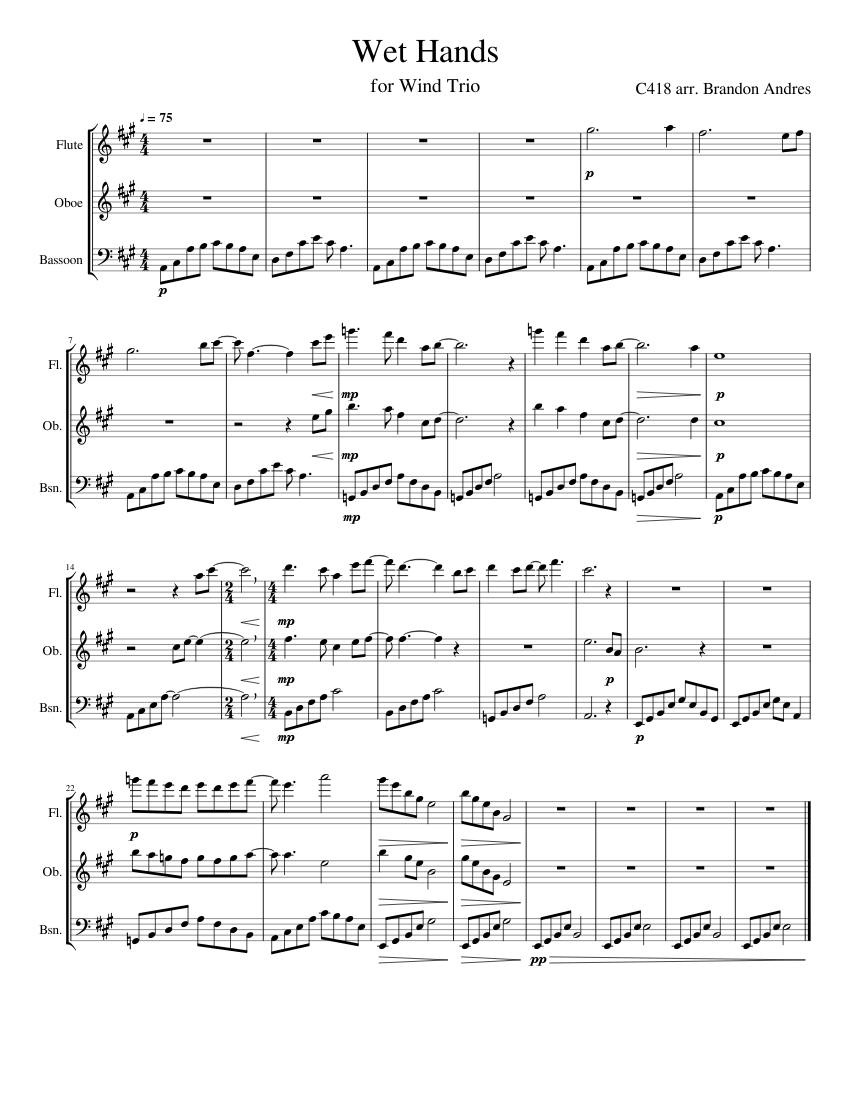 Wet Hands - C418 Sheet Music for Flute, Oboe, Bassoon (Woodwind