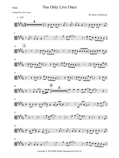 You Only Live Once (Arr. Alex Souza) - The Strokes (Viola Solo)