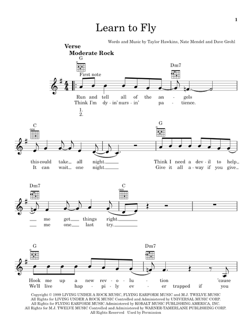 Learn To Fly - Foo Fighters (Ukulele)