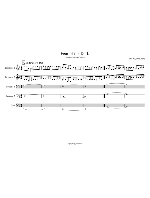 Fear of the Dark - Iron Maiden Cover (WIP)