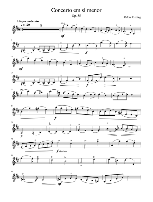 Concerto in B minor: 1st Movement