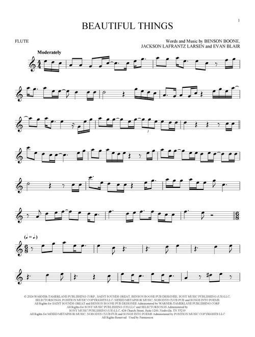 Beautiful Things - Benson Boone (Flute Solo)