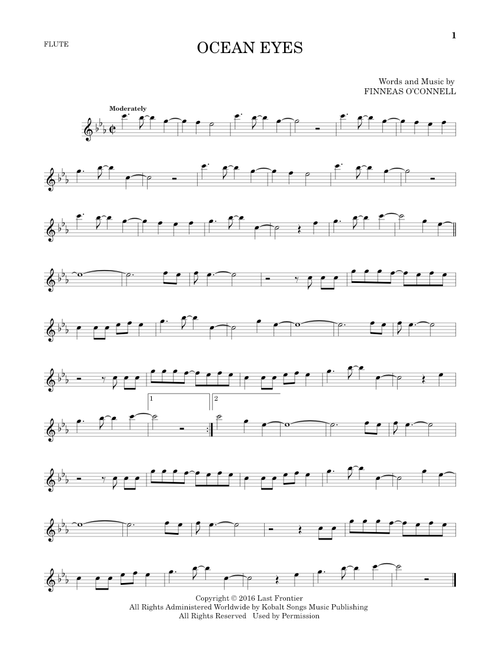 ocean eyes - Billie Eilish (Flute Solo)