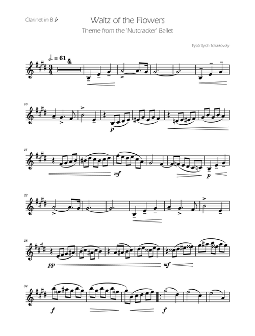 Waltz of the Flowers - The Nutcracker - Clarinet Solo (Arr. Ygor Nunes) - Tchaikovsky (Clarinet Solo)