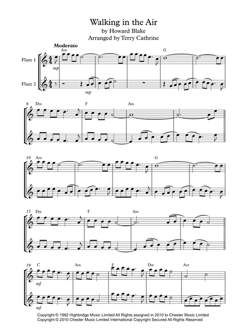 Walking In The Air (Arr. Terry Cathrine) - Howard Blake (Flute Duet)