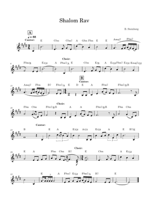 Play Official version of Shalom Rav Sheet Music by B Steinberg for ...