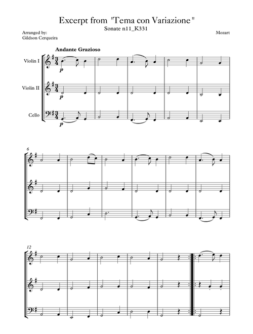 Excerpt from sonate k331 - "Tema con Variazione" (Arr. Gildson Cerqueira) - Mozart (String Ensemble)