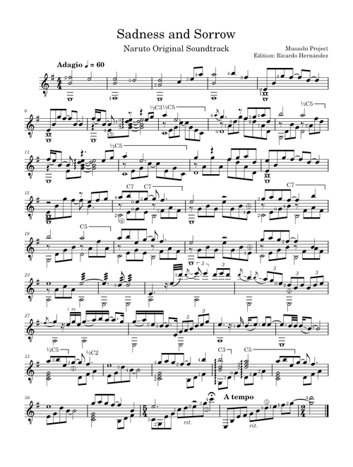 Sadness and Sorrow - Musashi Project