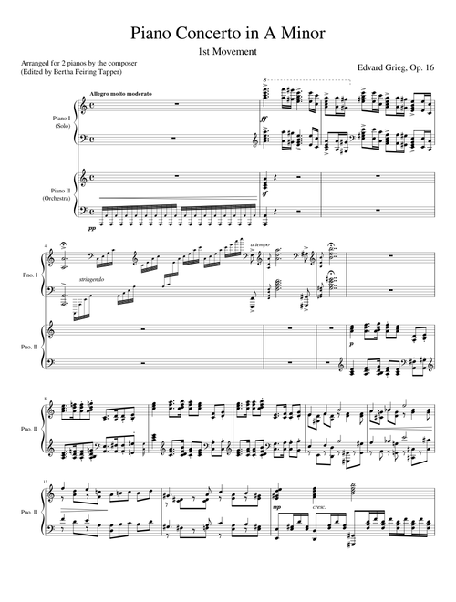 Grieg Piano Concerto in A Minor - 1st Movement (Arr. for 2 pianos)