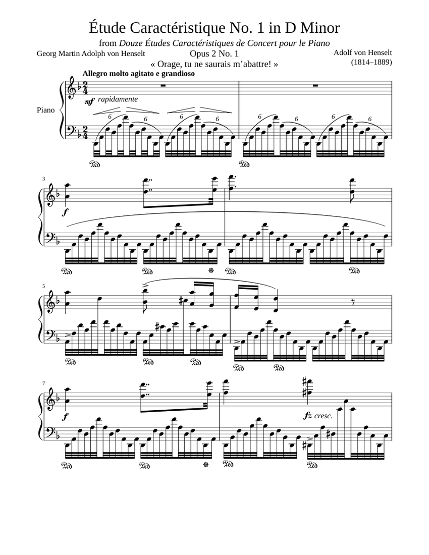 SOLOS & ETUDES １＆２　弦楽　スコアとパート譜 Étude Caractéristique Opus 2 No. 1 in D Minor Sheet Music for