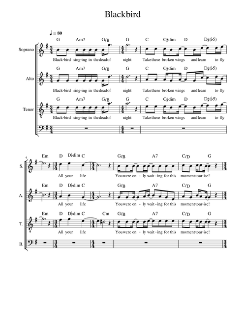 Blackbird – The Beatles Blackbird