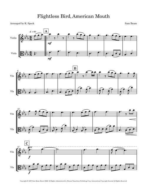 Flightless Bird, American Mouth (Arr. K. Speck) - Iron & Wine (Instrumental Duet)