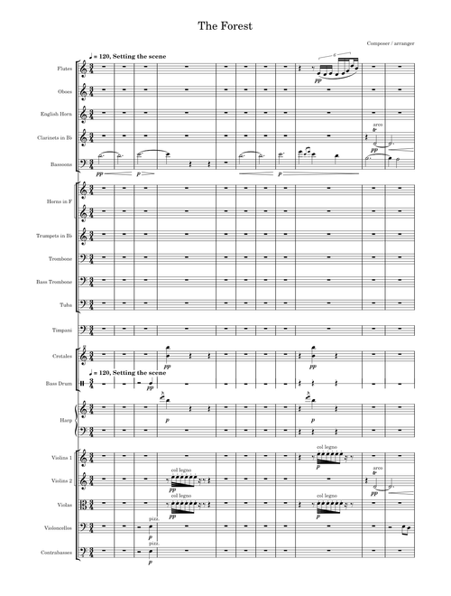 New Orchestra Project