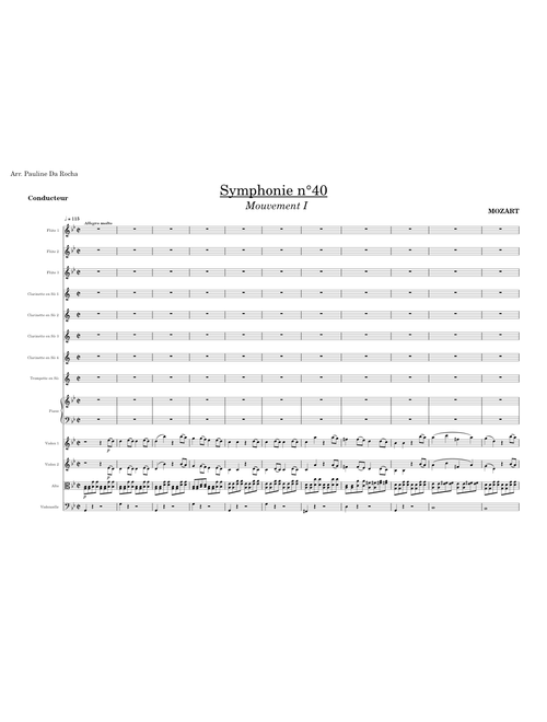 Symphony No.40 in G minor 1st movement , K.550 – Wolfgang Amadeus Mozart