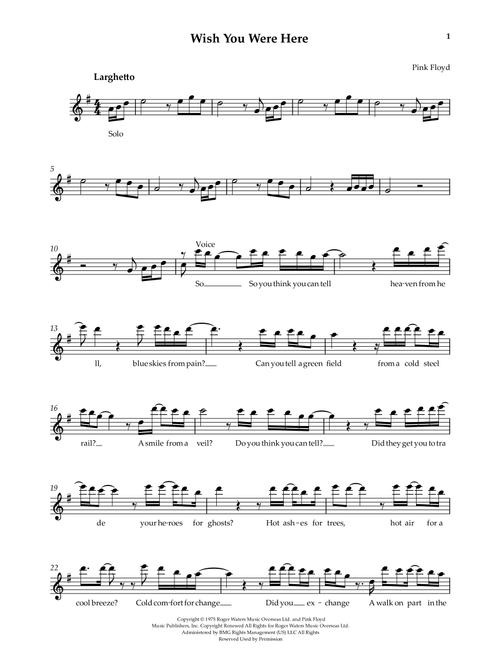 Wish You Were Here (Arr. TTP) - Pink Floyd (Violin Solo)
