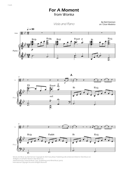 For A Moment (Arr. César Madeira) - Neil Hannon (Viola and Piano)