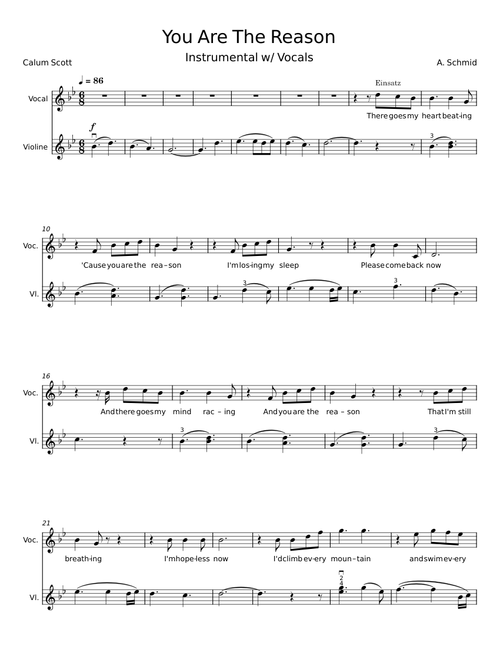 You are the reason - Calum Scott