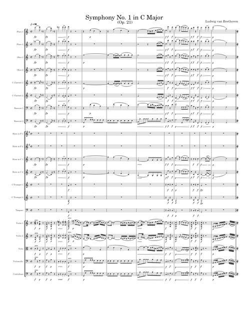 Symphony No. 1 in C Major, Op. 21 (Ludwig van Beethoven)