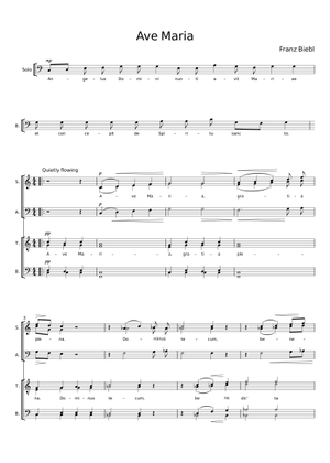 Ave Maria – Franz Biebl SAT/SATB Sheet Music for Bass guitar ...