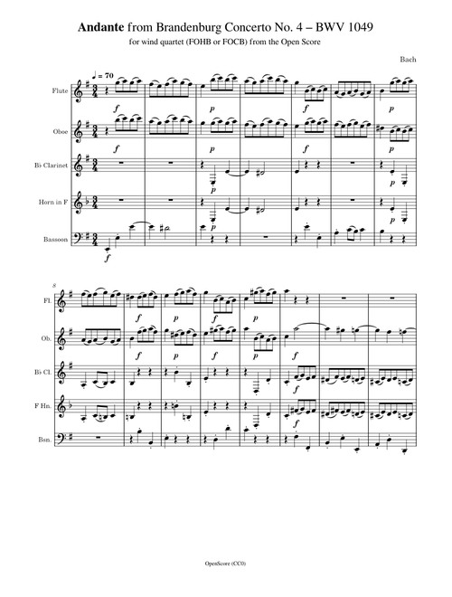 Andante from Brandenburg Concerto No. 4 in G Major, BWV 1049 – Johann Sebastian Bach