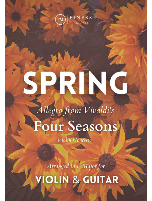 DUET - Four Seasons Spring (Allegro) for VIOLIN and ACOUSTIC GUITAR - F Major (Arr. Ivan de Andrade) - Antonio Vivaldi (Instrumental Duet)