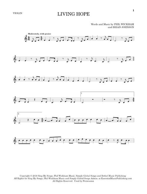Living Hope - Phil Wickham (Violin Solo)