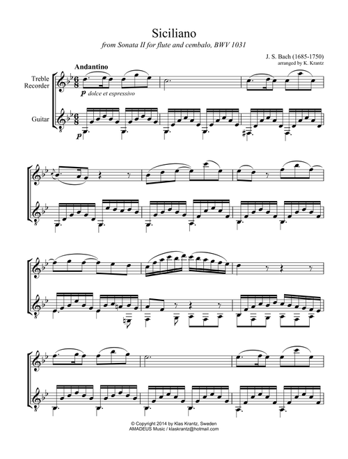 Siciliano BWV 1031 for treble recorder and guitar (G minor) (Arr. K. Krantz) - JS Bach (Instrumental Duet)