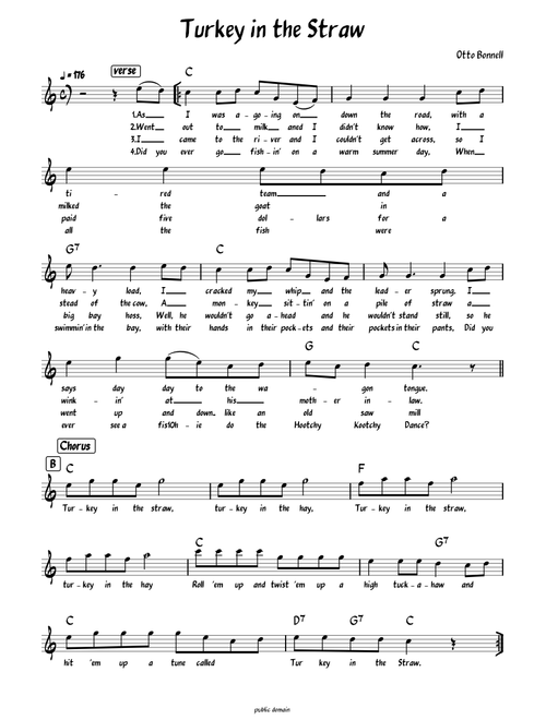 Turkey in the Straw (Lead Sheet with lyrics )