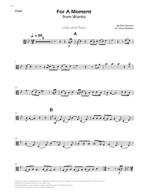 For A Moment (Arr. César Madeira) - Neil Hannon (Viola and Piano)