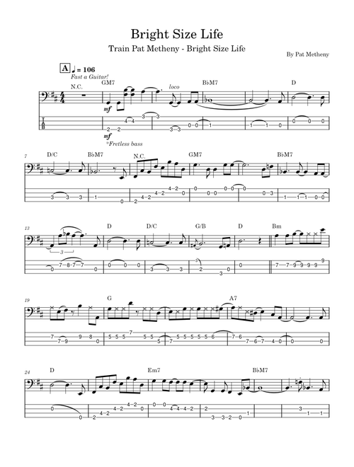 Bright size life – Pat Metheny