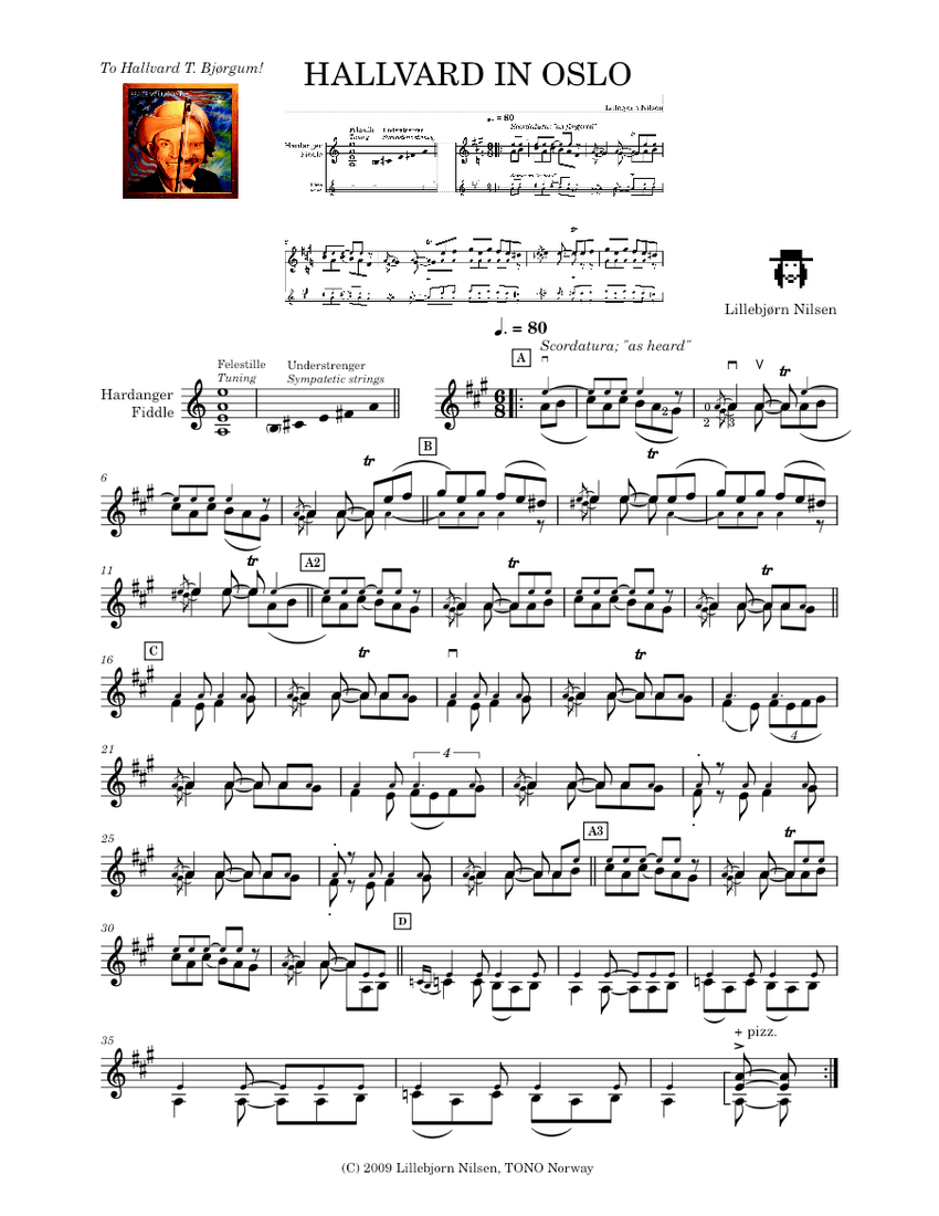 Hardanger fiddle music top