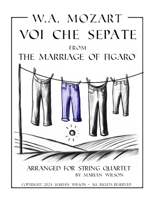 Mozart: Voi che sepate from The Marriage of Figaro (Arr. Marian Wilson) - Wolfgang Amadeus Mozart (String Quartet)