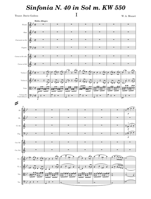 W. A. Mozart - Symphony no 40 in g minor I