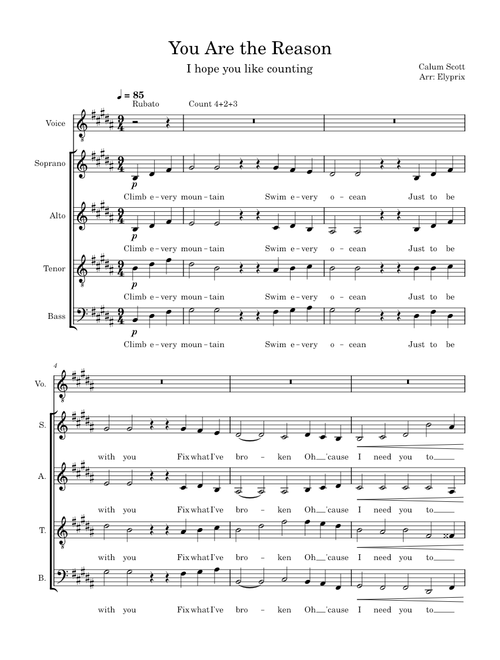 You Are the Reason A Cappella Arrangement - Calum Scott
