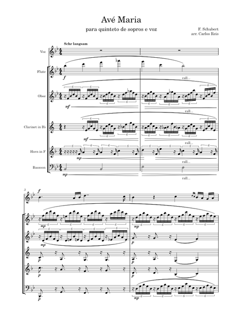 Ave Maria – Franz Schubert