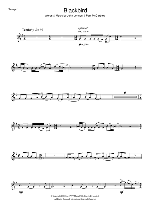 Blackbird - The Beatles (Trumpet Solo)