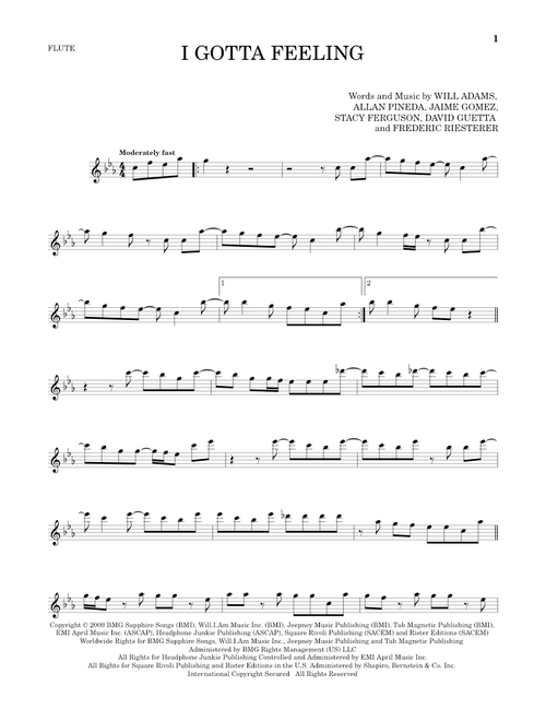 I Gotta Feeling - The Black Eyed Peas (Flute Solo)