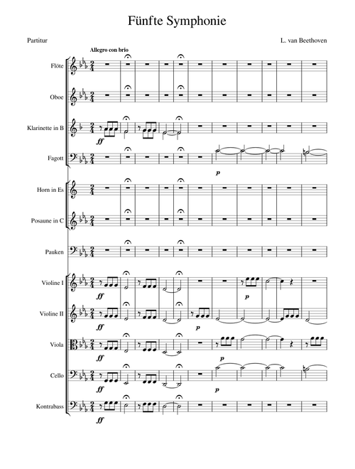 5th Symphony - 1st Movement