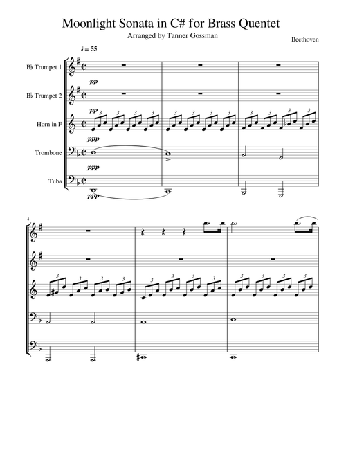 Moonlight Sonata - Ludwig van Beethoven